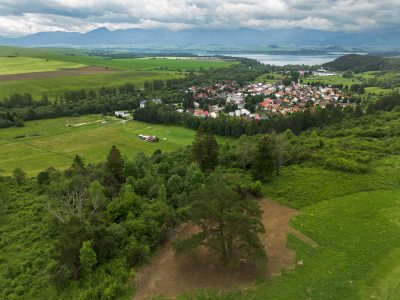 07 borovica lesna liptovska sielnica